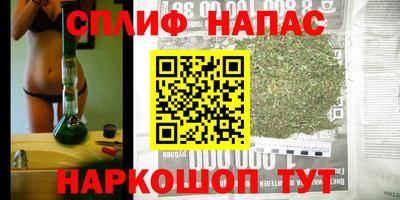 мяу мяу мука Баксан