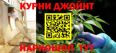 мяу мяу мука Баксан