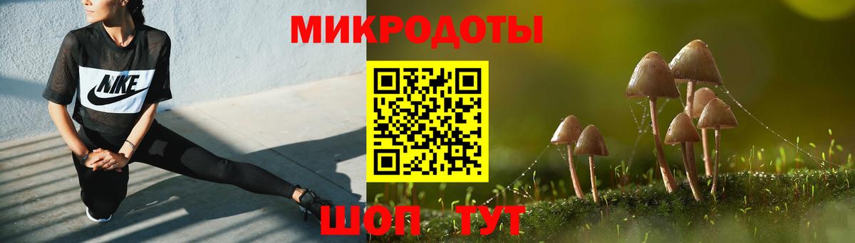 Димитровград  Галлюциногенные грибы прущие грибы  Вход с VPN 